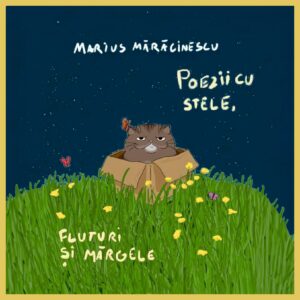 Poezii cu stele, fluturi și mărgele